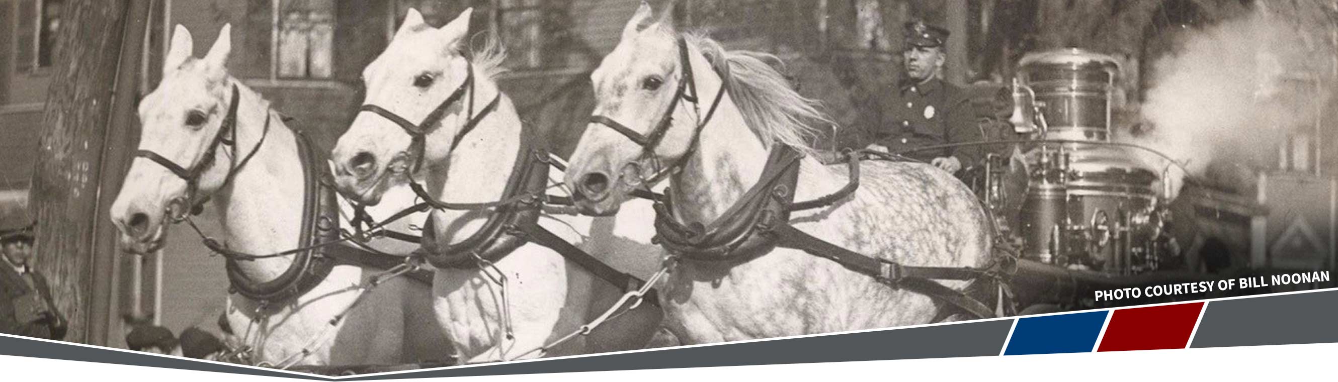 bf-vintage-horses